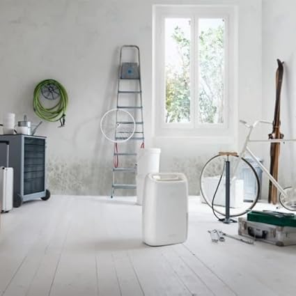 De’Longhi Tasciugo AriaDry, Portable Home Dehumidifier - DEX212SF