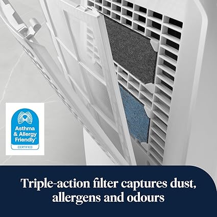 De’Longhi Tasciugo AriaDry, Portable Home Dehumidifier - DEX212SF